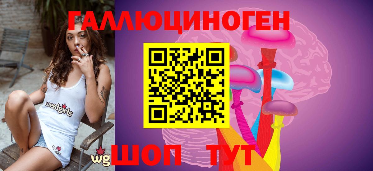 Галлюциногенные грибы Cubensis Зеленогорск